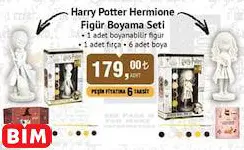 HARRY POTTER HARRY POTTER HERMİONE FİGÜR BOYAMA SETİ